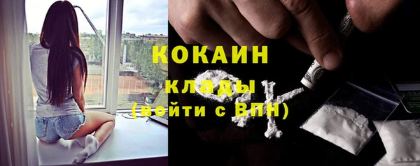 хмурый Абаза