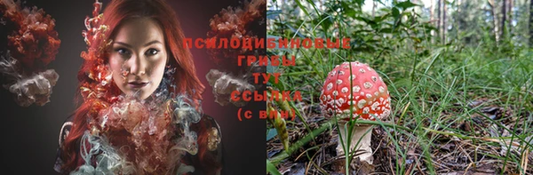 хмурый Абаза