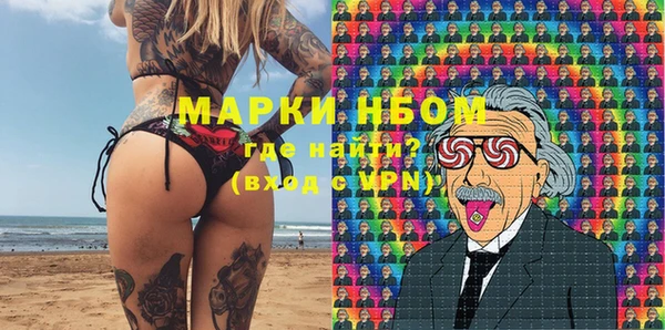 хмурый Абаза