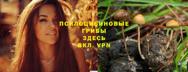 хмурый Абаза