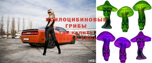 гашик Абинск