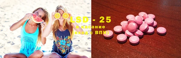 хмурый Абаза